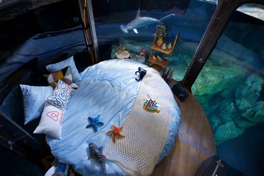 Airbnb Sayesinde Köpekbalıklarının Arasında Uyumak