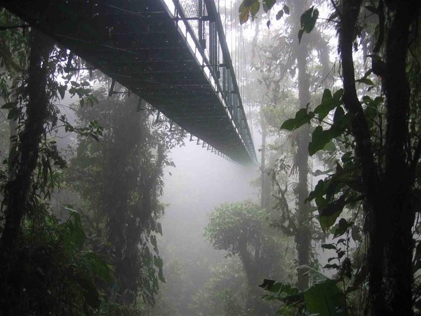 Yok Olmadan Gitmeniz Gereken 10 Yer Kosta Rika Bulut Ormanları