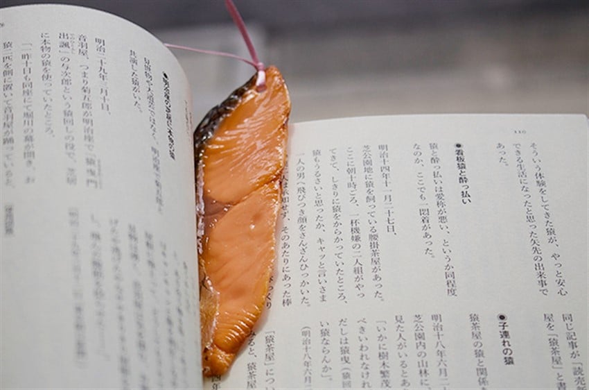 Japonya'dan Yiyeceklere Birebir Benzeyen Kitap Ayraçları