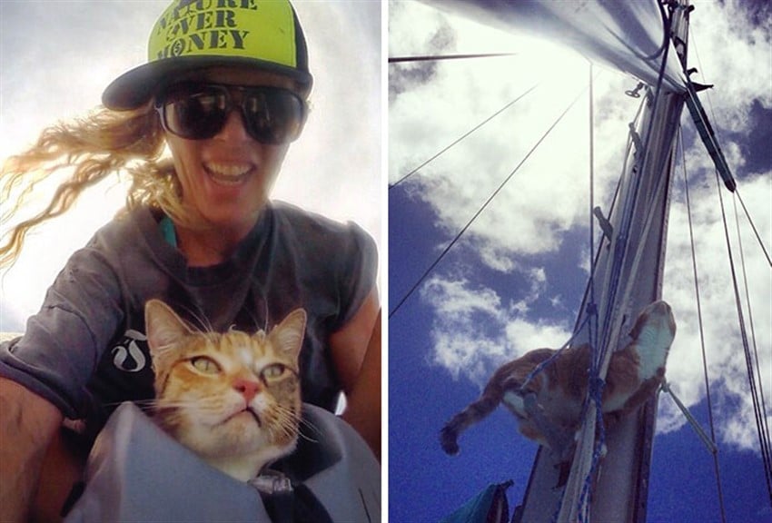 İşini Bırakıp Kedisiyle Birlikte Dünyaya Yelken Açan Kadın Liz Clark