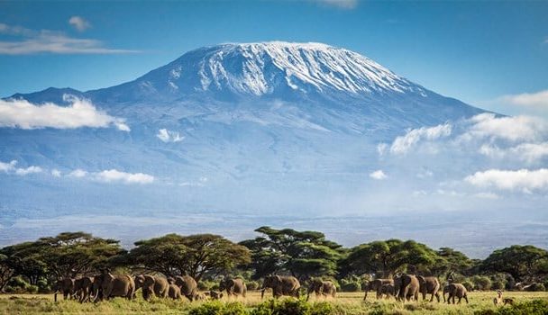 Kilimanjaro Dağı Hakkında 10 İlginç Gerçek