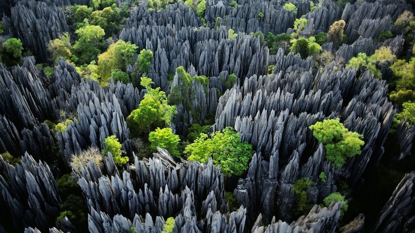 Tsingy Taş Ormanı, Madagaskar