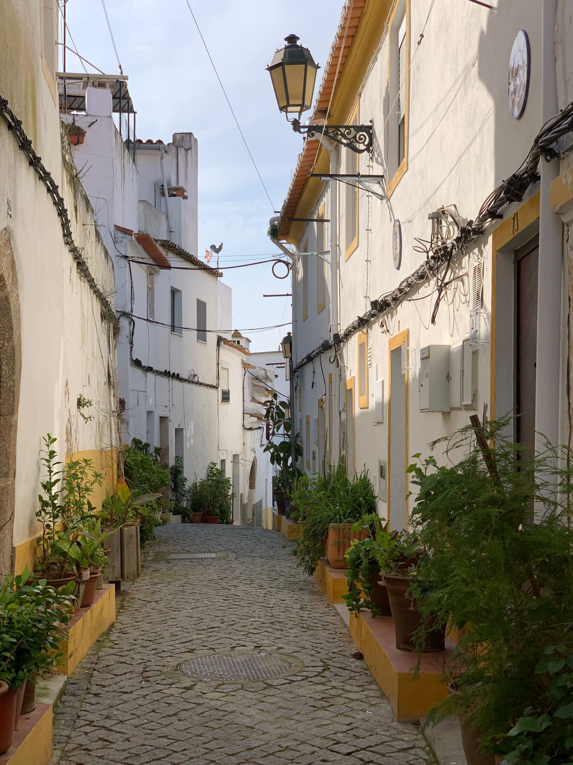 Portekiz Alentejo bölgesinde tarihi taş sokak ve geleneksel evler