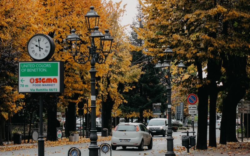 Sonbahar yapraklarıyla çevrili sakin bir şehir sokağı