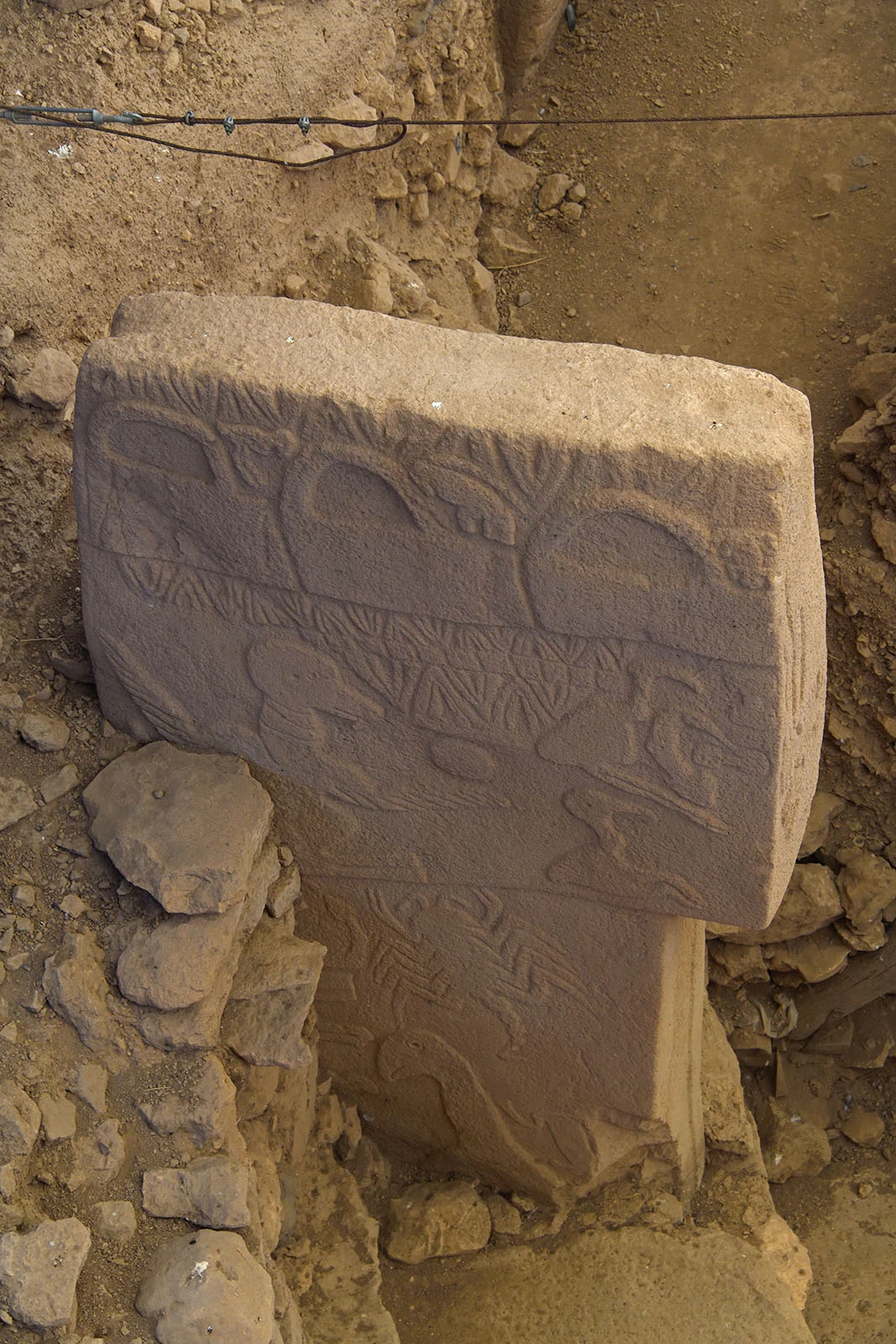Göbeklitepe D yapısında hayvan kabartmaları bulunan T biçimli taş sütun