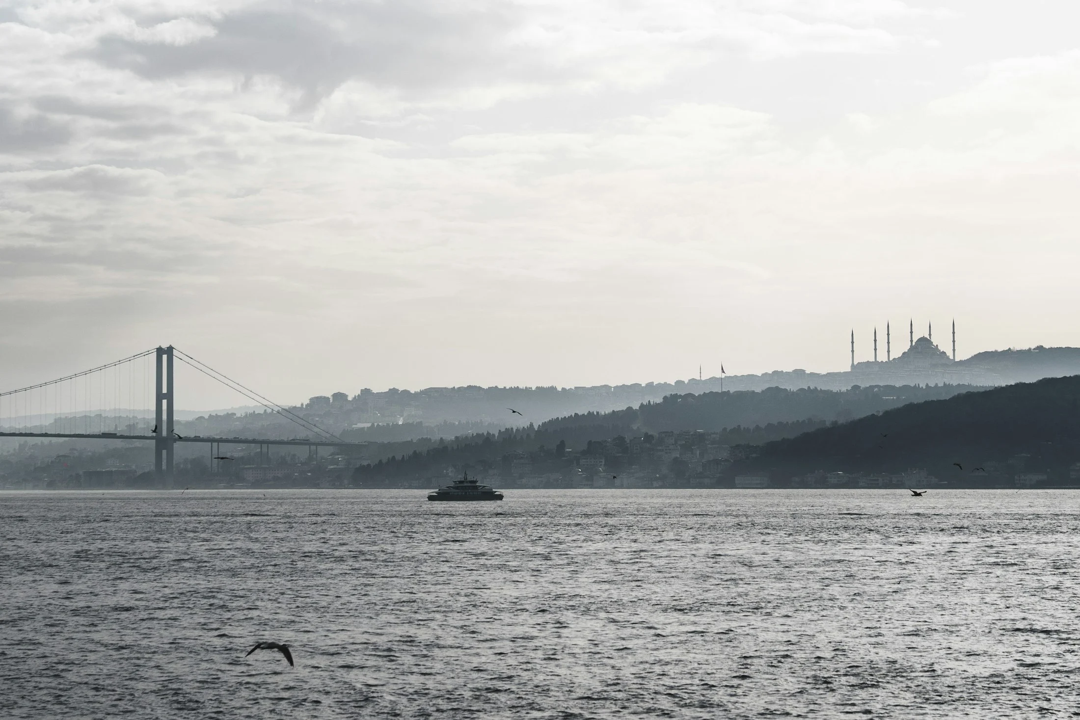 İstanbul Boğazı, köprü ve kıyıdaki camiyle şehir manzarası