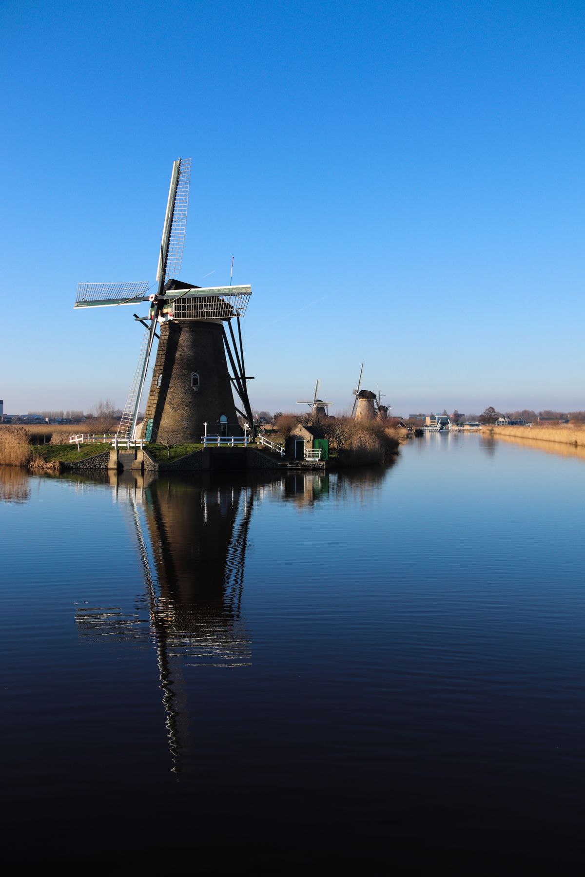 Kinderdijk'de kanal boyunca uzanan geleneksel yel değirmenleri