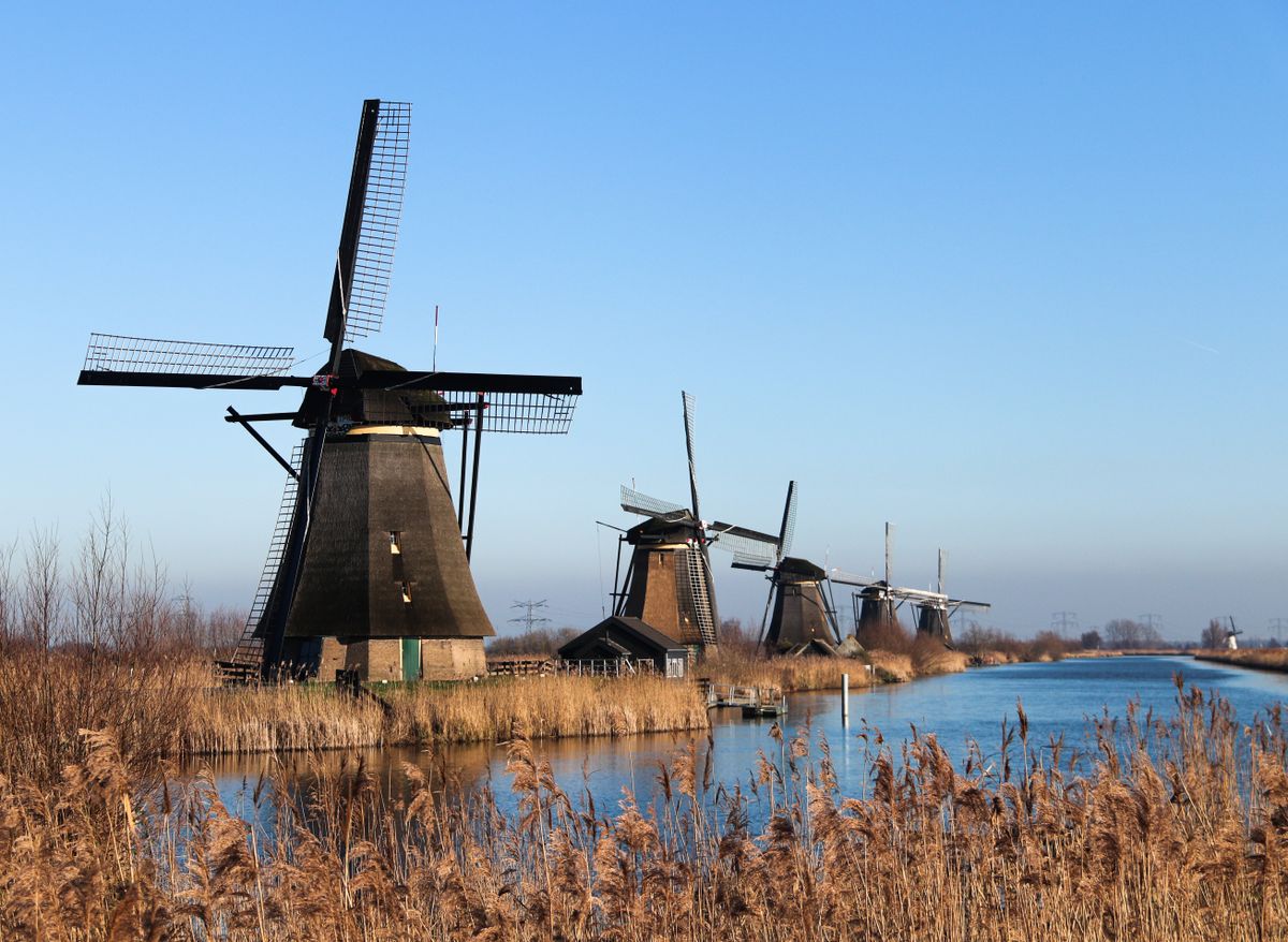 Kinderdijk'de su kanalına yansıyan tarihî yel değirmenleri