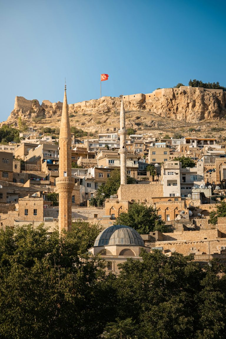 Mardin’de taş evler, minareler ve tepede tarihî kale görünümü