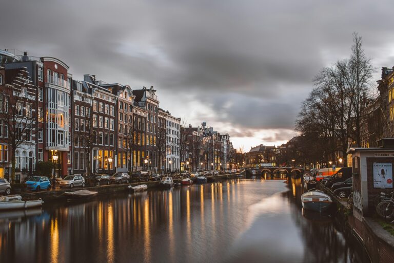 Amsterdam kanalı ve ışıklı şehir manzarası