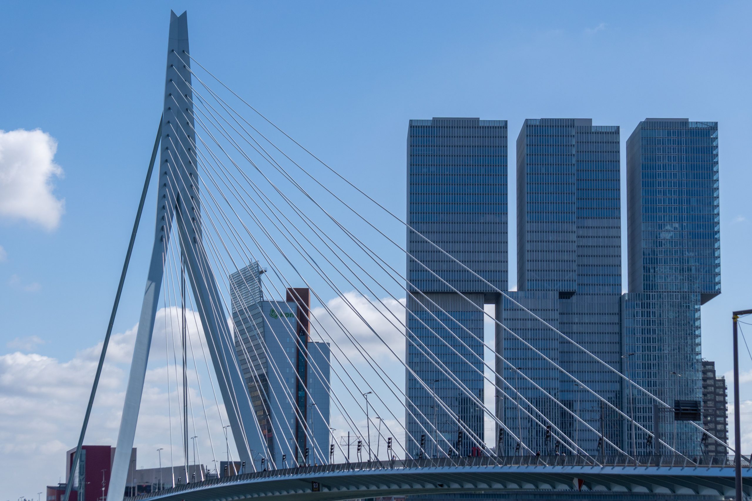 Nieuwe Maas üzerinde Erasmus Köprüsü ve Rotterdam şehir silüeti