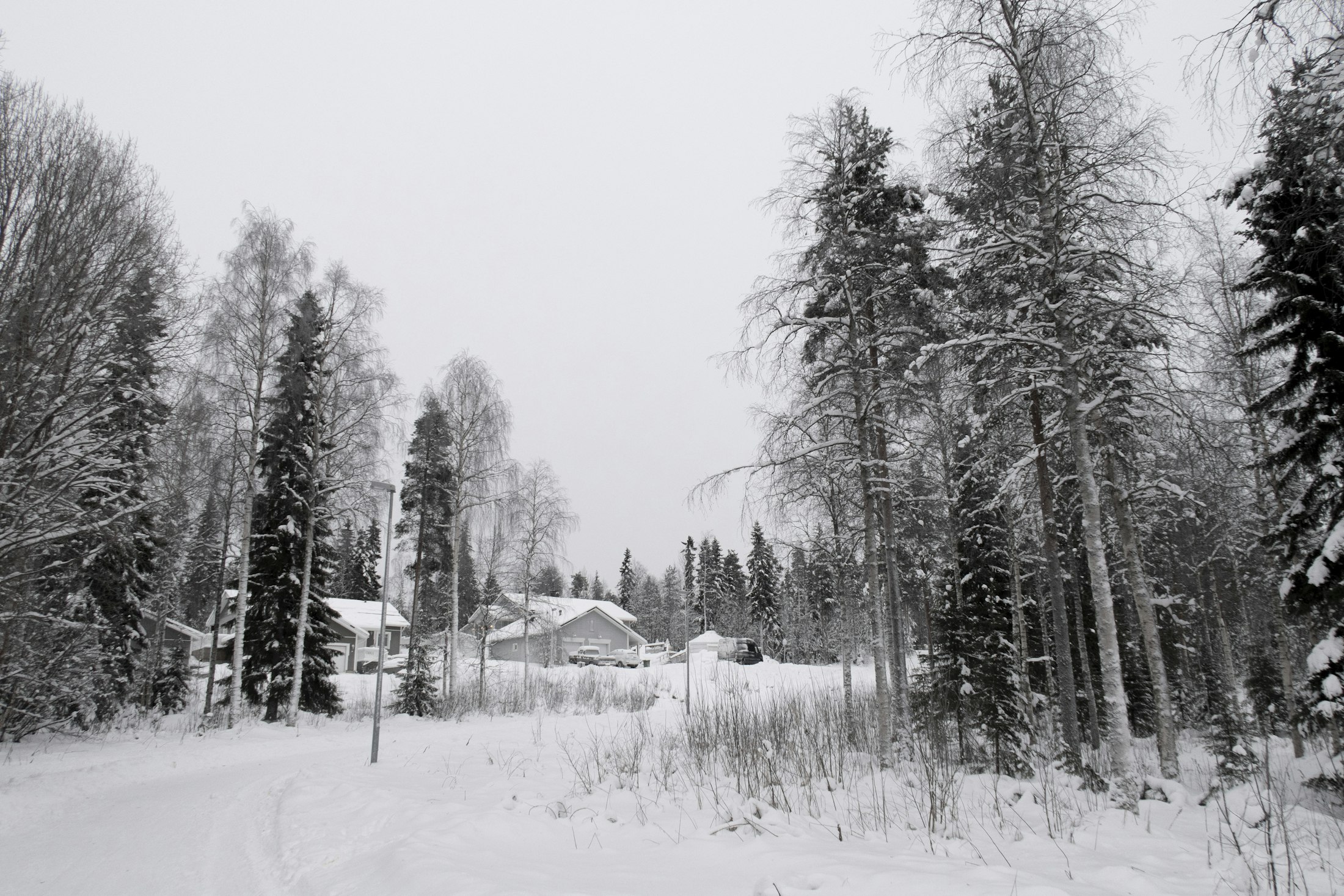 Rovaniemi’de karla kaplı ağaçlar ve ahşap evlerden oluşan kış manzarası