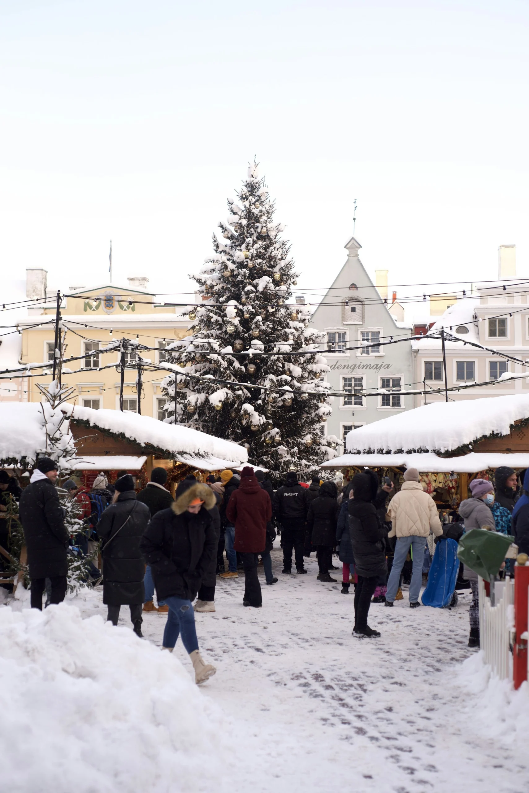 Tallinn Belediye Meydanı’nda ışıklı Noel ağacının çevresinde toplanan ziyaretçiler